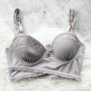 Anthropologie Eloise gray lace bustier Bralette 34
